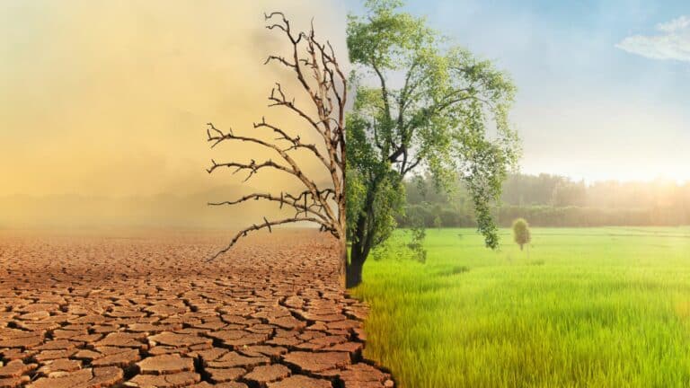 avenir domestique face aux changements climatiques