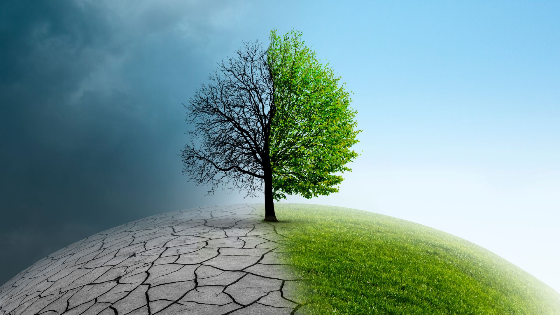 changements climatiques