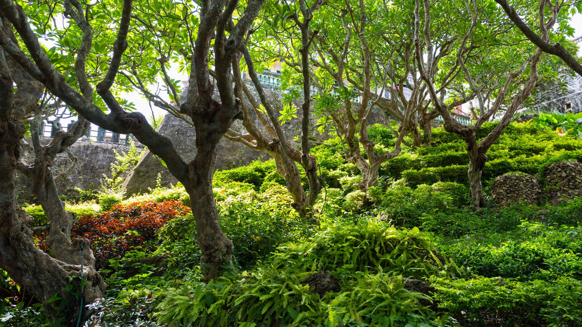 jardin foret