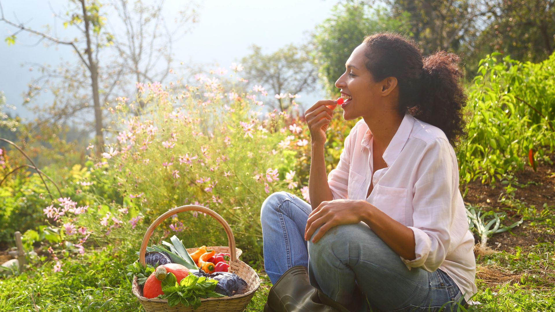 jardiner en harmonie avec le climat les lecons de lagriculture durable