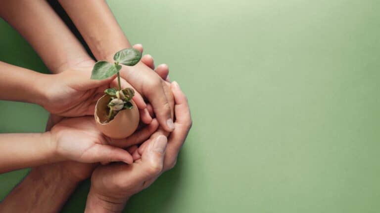 renovation eco responsables