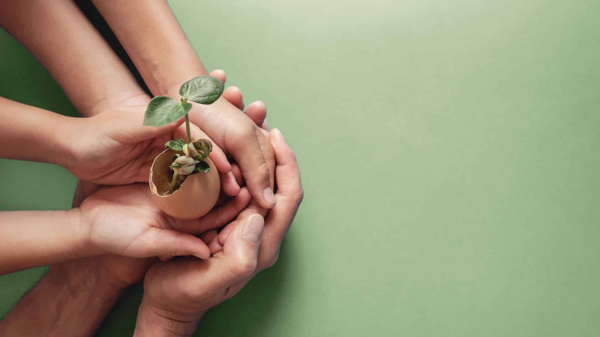 renovation eco responsables