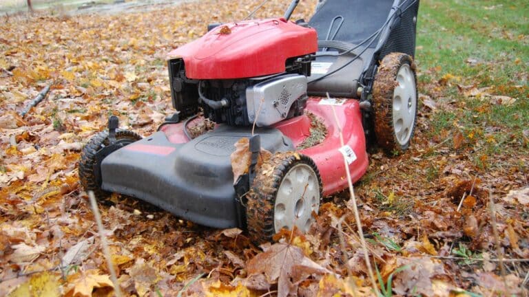 tonte de pelouse en automne