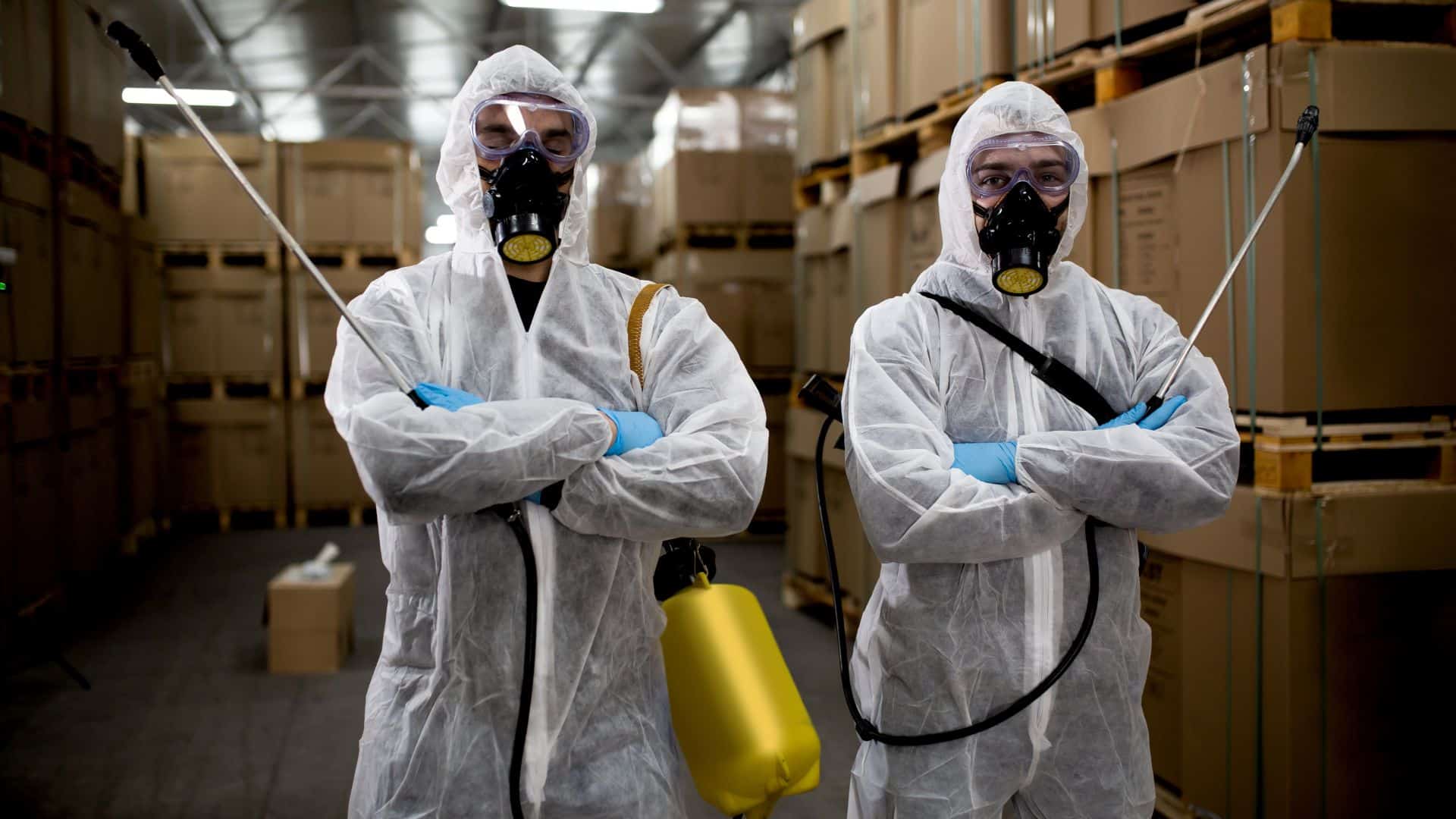 expert anti nuisibles